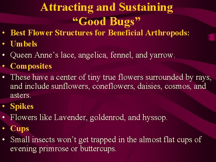 Attracting and Sustaining “Good Bugs” • • • Best Flower Structures for Beneficial Arthropods: