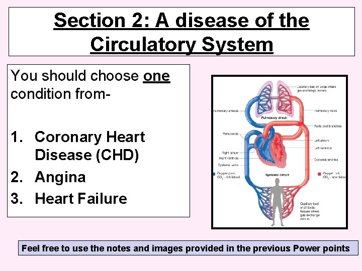 Section 2: A disease of the Circulatory System You should choose one condition from-