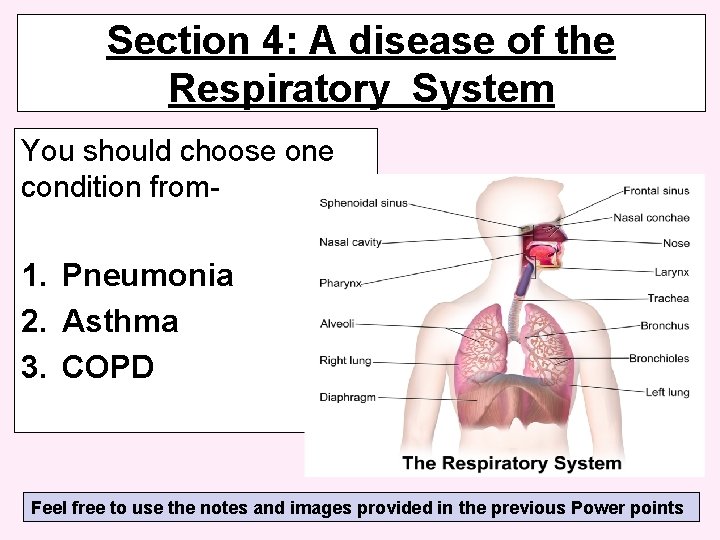Section 4: A disease of the Respiratory System You should choose one condition from-