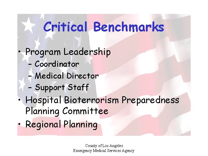 Critical Benchmarks • Program Leadership – Coordinator – Medical Director – Support Staff •