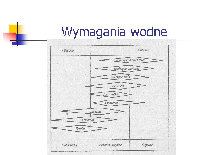 Wymagania wodne 