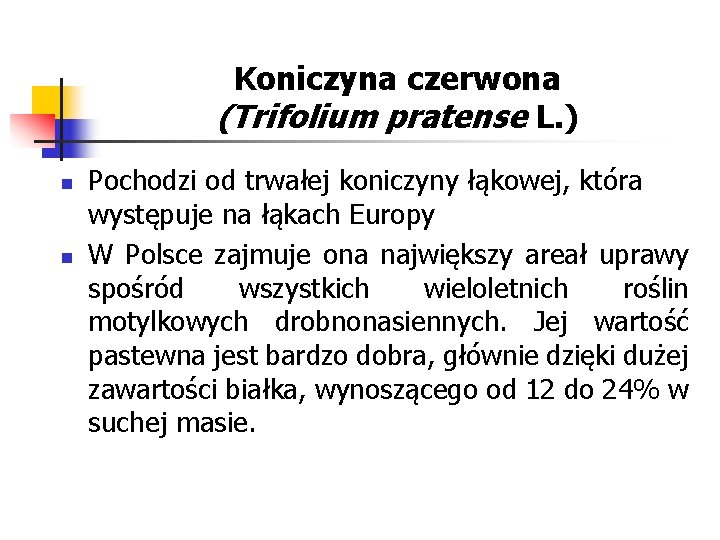 Koniczyna czerwona (Trifolium pratense L. ) n n Pochodzi od trwałej koniczyny łąkowej, która