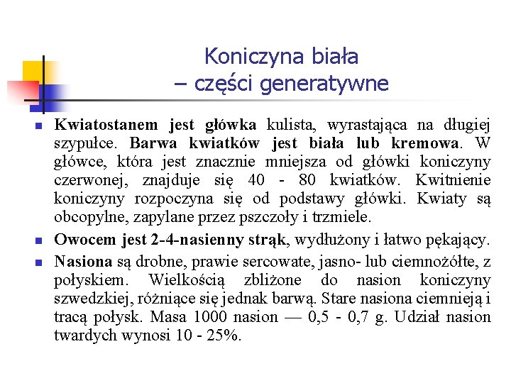 Koniczyna biała – części generatywne n n n Kwiatostanem jest główka kulista, wyrastająca na