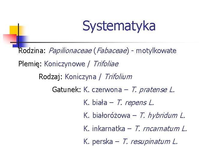 Systematyka Rodzina: Papilionaceae (Fabaceae) - motylkowate Plemię: Koniczynowe / Trifoliae Rodzaj: Koniczyna / Trifolium