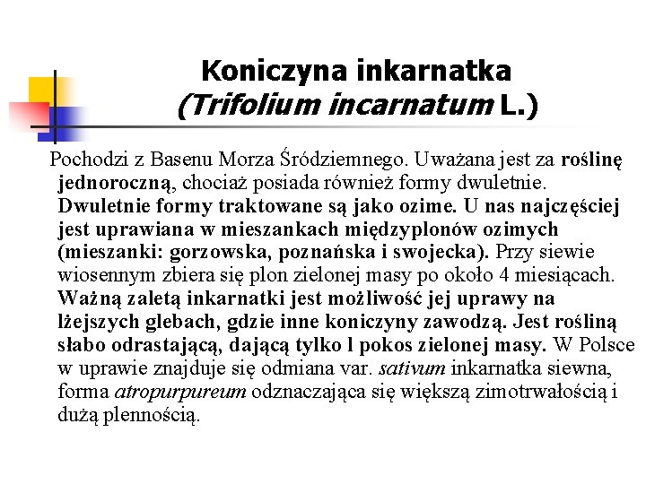 Koniczyna inkarnatka (Trifolium incarnatum L. ) Pochodzi z Basenu Morza Śródziemnego. Uważana jest za