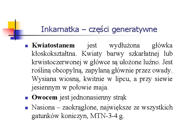 Inkarnatka – części generatywne n n n Kwiatostanem jest wydłużona główka kłoskokształtna. Kwiaty barwy