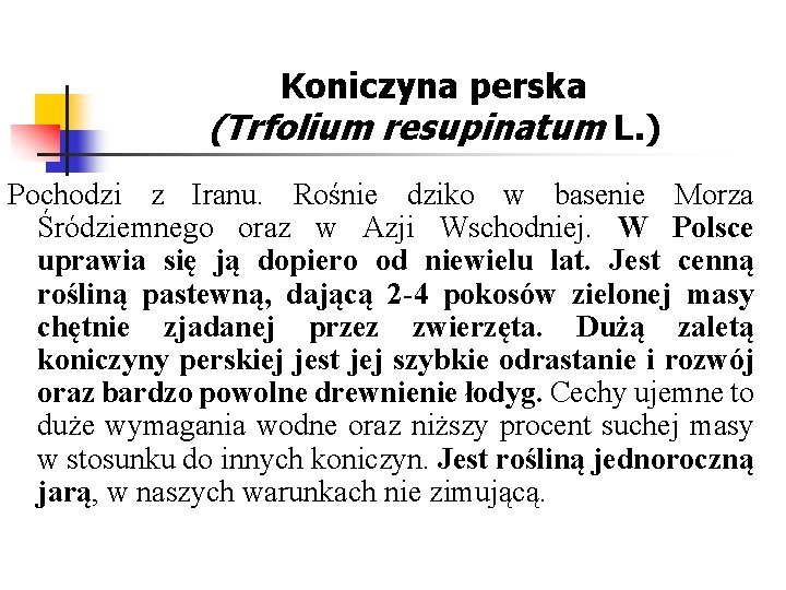 Koniczyna perska (Trfolium resupinatum L. ) Pochodzi z Iranu. Rośnie dziko w basenie Morza