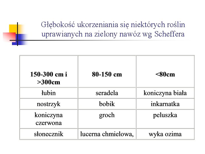 Głębokość ukorzeniania się niektórych roślin uprawianych na zielony nawóz wg Scheffera 