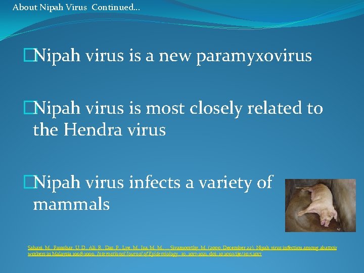About Nipah Virus Continued… �Nipah virus is a new paramyxovirus �Nipah virus is most