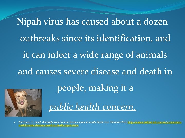 Nipah virus has caused about a dozen outbreaks since its identification, and it can