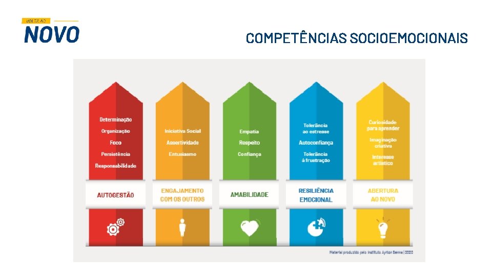 COMPETÊNCIAS SOCIOEMOCIONAIS COMPETÊNCIAS SOCIOEMOCIONAIS