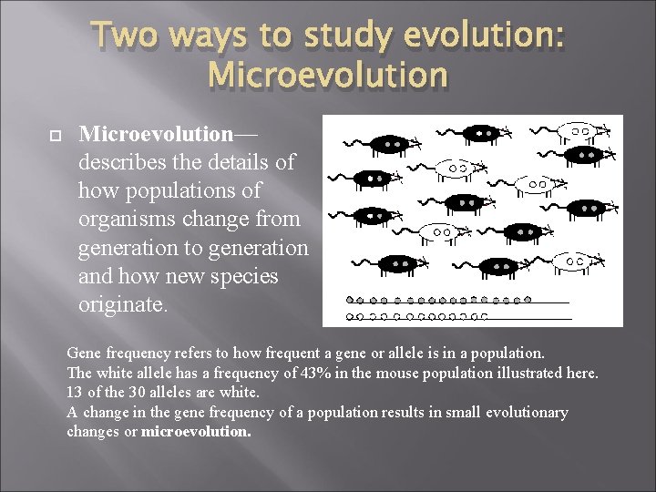 Two ways to study evolution: Microevolution— describes the details of how populations of organisms