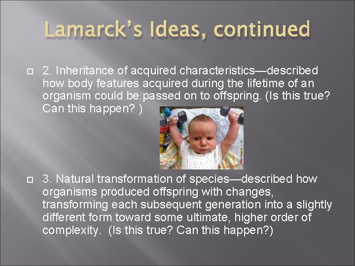 Lamarck’s Ideas, continued 2. Inheritance of acquired characteristics—described how body features acquired during the