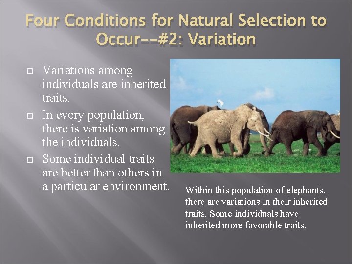 Four Conditions for Natural Selection to Occur--#2: Variation Variations among individuals are inherited traits.