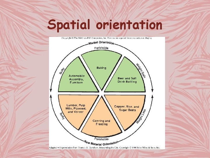 Spatial orientation 