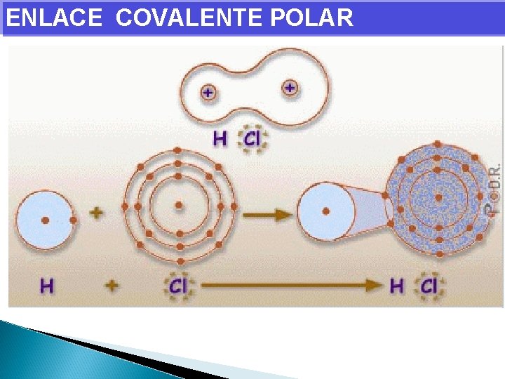 ENLACE COVALENTE POLAR 