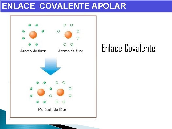 ENLACE COVALENTE APOLAR 