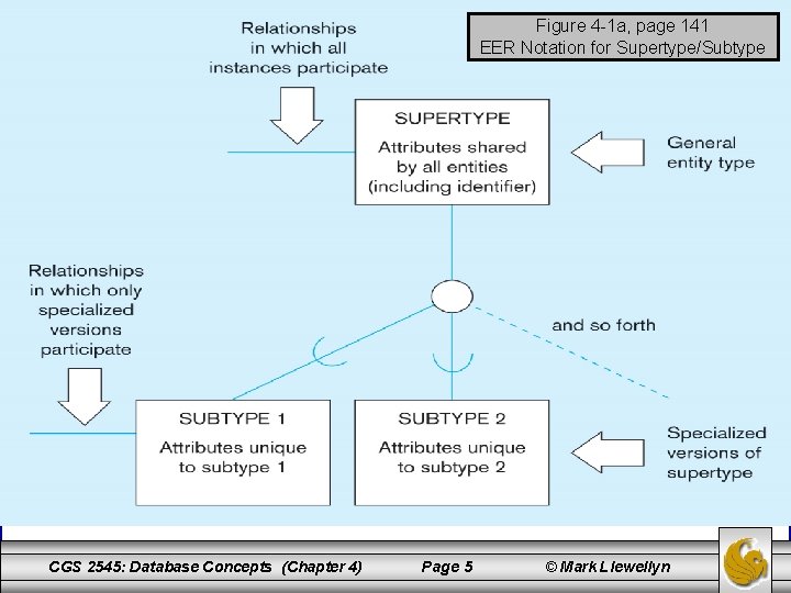 Figure 4 -1 a, page 141 EER Notation for Supertype/Subtype CGS 2545: Database Concepts