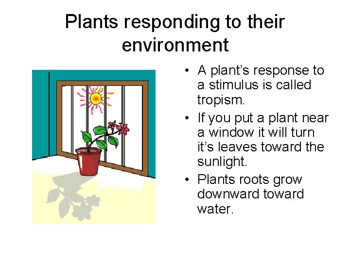 Plants responding to their environment • A plant’s response to a stimulus is called