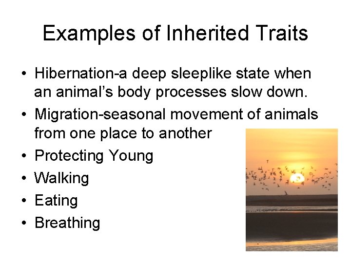 Examples of Inherited Traits • Hibernation-a deep sleeplike state when an animal’s body processes