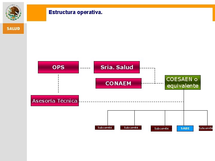 Estructura operativa. OPS Sria. Salud CONAEM COESAEN o equivalente Asesoría Técnica Subcomité SABE Subcomité