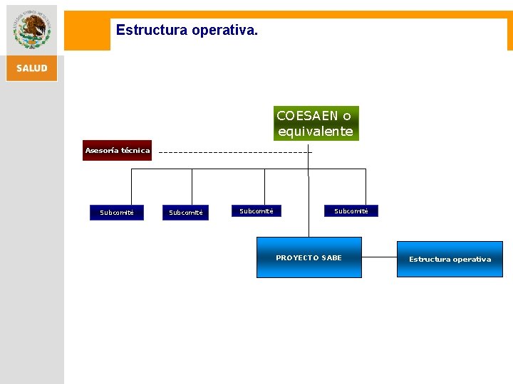 Estructura operativa. COESAEN o equivalente Asesoría técnica Subcomité PROYECTO SABE Estructura operativa 