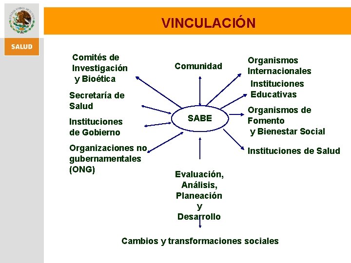 VINCULACIÓN Comités de Investigación y Bioética Comunidad Secretaría de Salud Instituciones de Gobierno Organizaciones