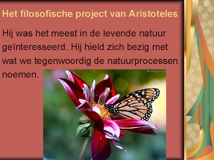 Het filosofische project van Aristoteles Hij was het meest in de levende natuur geïnteresseerd.
