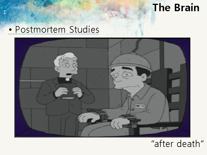 The Brain • Postmortem Studies “after death” 