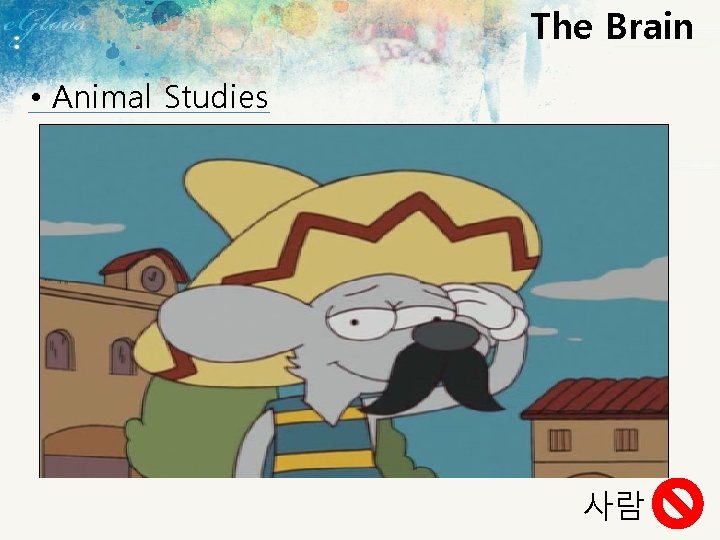 The Brain • Animal Studies 사람 