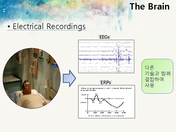 The Brain • Electrical Recordings ‘EEGs’ ‘ERPs’ 다른 기술과 함께 결합하여 사용 