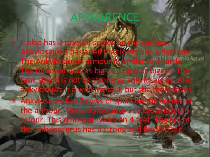 APPEARENCE • It also has 2 rows of spikes on the surface. Ankylosaurus has