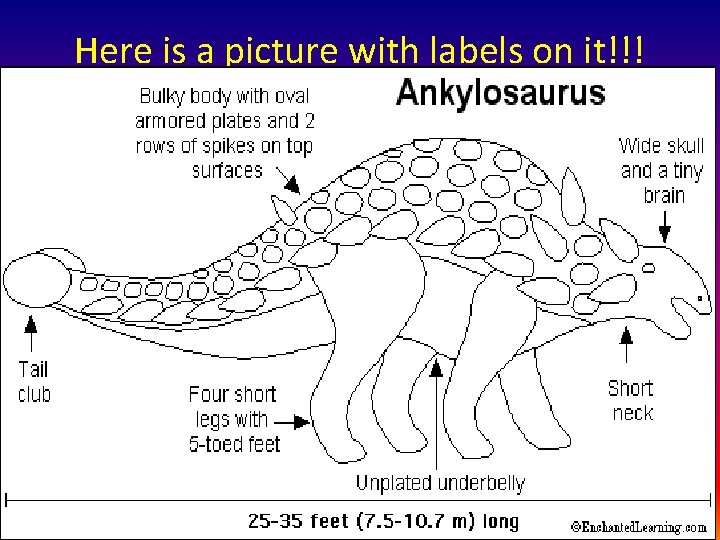 Here is a picture with labels on it!!! 