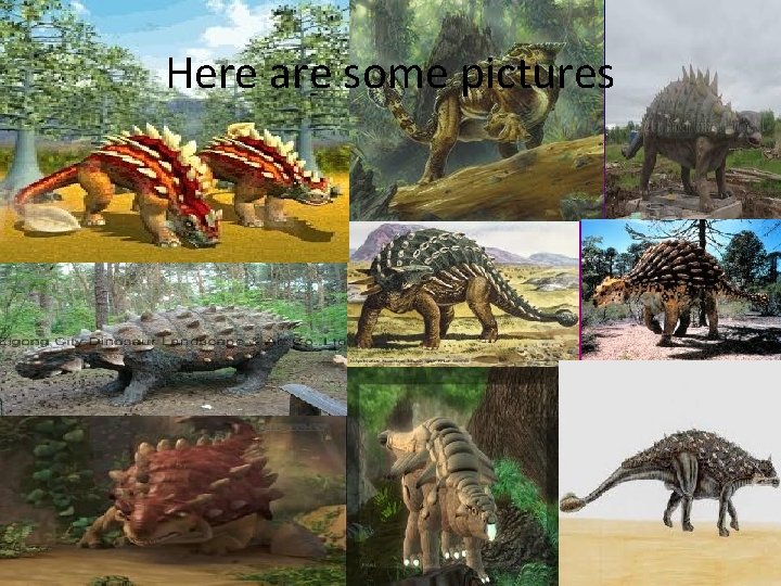 Here are some pictures 
