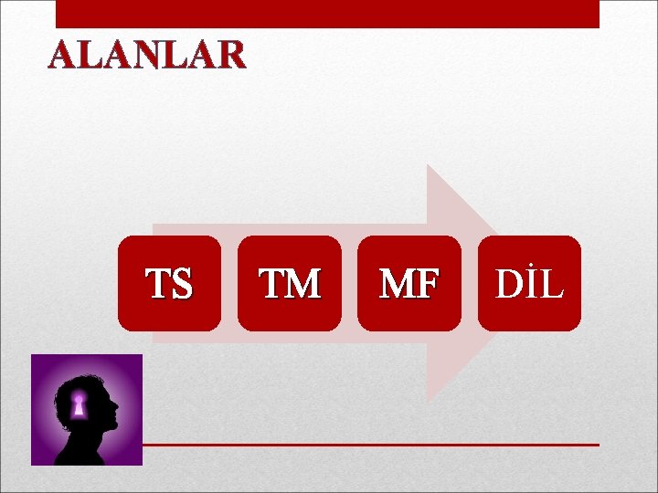 ALANLAR TS TM MF DİL 