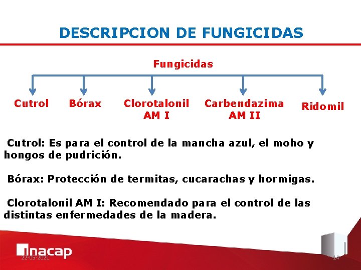 DESCRIPCION DE FUNGICIDAS Fungicidas Cutrol Bórax Clorotalonil AM I Carbendazima AM II Ridomil Cutrol: