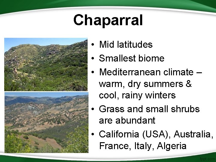 Chaparral • Mid latitudes • Smallest biome • Mediterranean climate – warm, dry summers