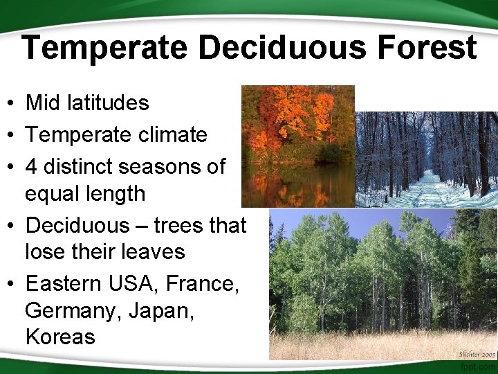 Temperate Deciduous Forest • Mid latitudes • Temperate climate • 4 distinct seasons of