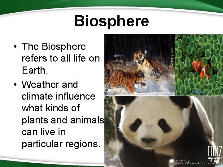 Biosphere • The Biosphere refers to all life on Earth. • Weather and climate