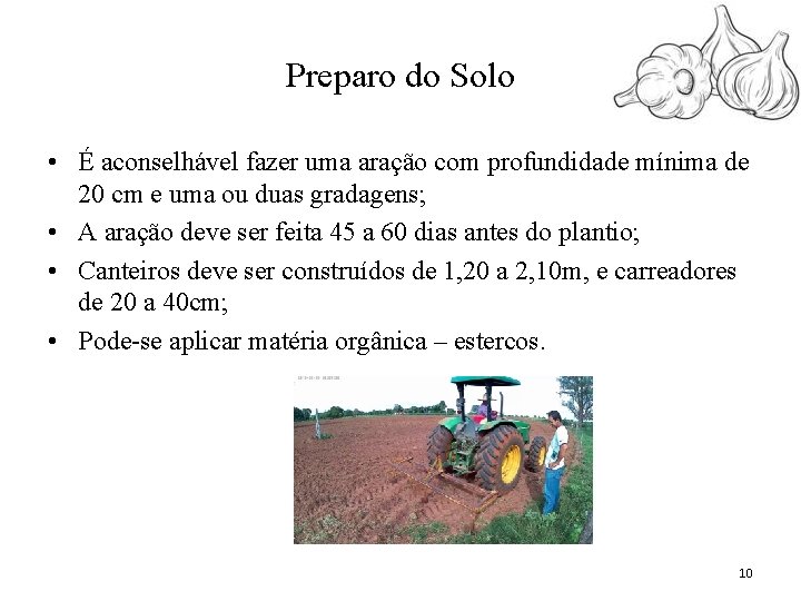 Preparo do Solo • É aconselhável fazer uma aração com profundidade mínima de 20