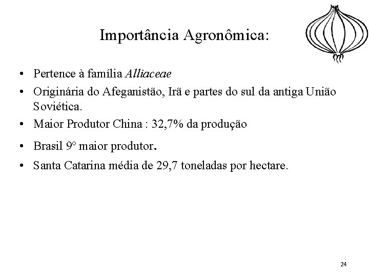 Importância Agronômica: • Pertence à família Alliaceae • Originária do Afeganistão, Irã e partes