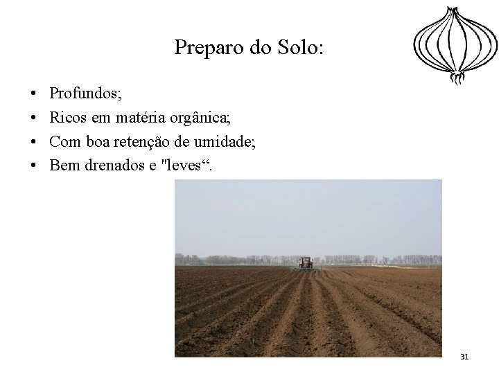 Preparo do Solo: • • Profundos; Ricos em matéria orgânica; Com boa retenção de