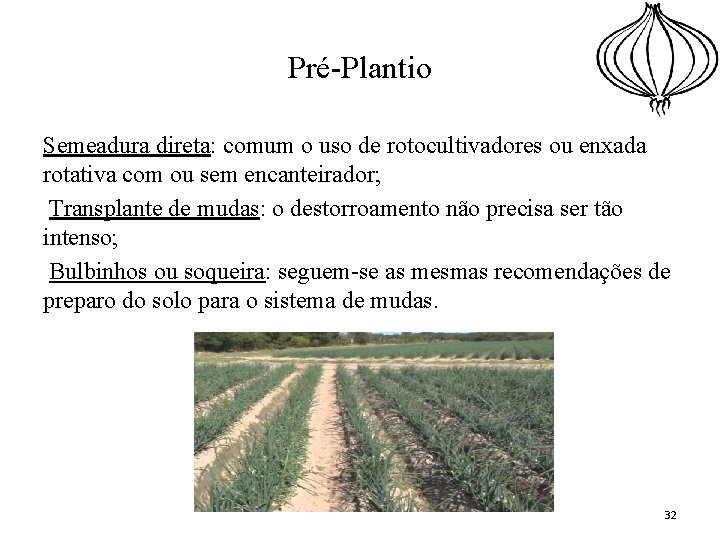 Pré-Plantio Semeadura direta: comum o uso de rotocultivadores ou enxada rotativa com ou sem