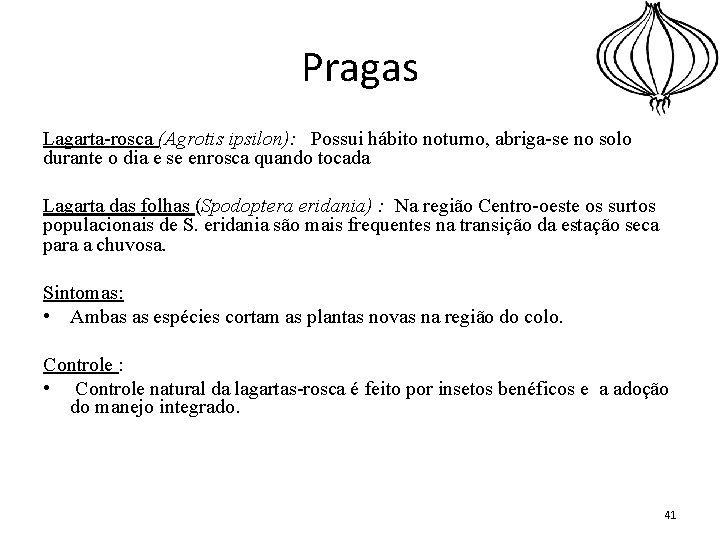 Pragas Lagarta-rosca (Agrotis ipsilon): Possui hábito noturno, abriga-se no solo durante o dia e