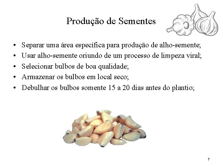 Produção de Sementes • • • Separar uma área específica para produção de alho-semente;