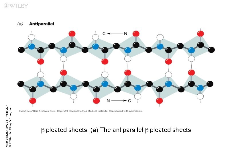 Voet Biochemistry 3 e Page 227 © 2004 John Wiley & Sons, Inc. b