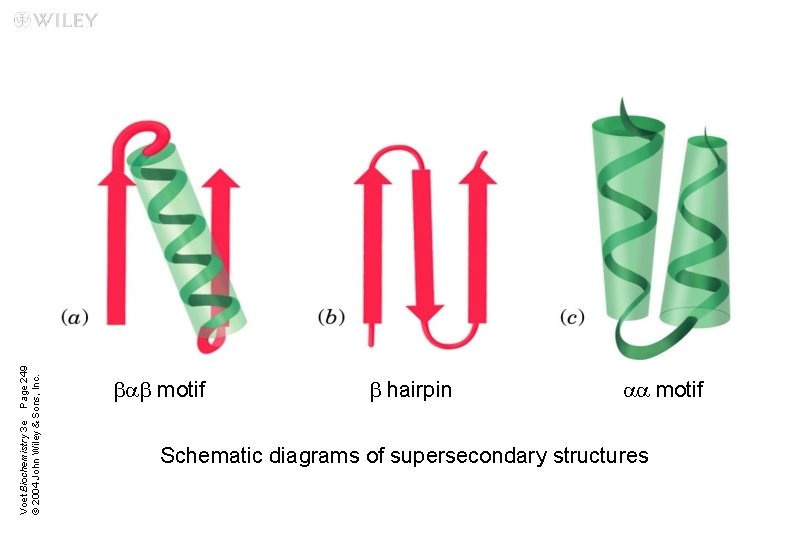 Voet Biochemistry 3 e Page 249 © 2004 John Wiley & Sons, Inc. bab