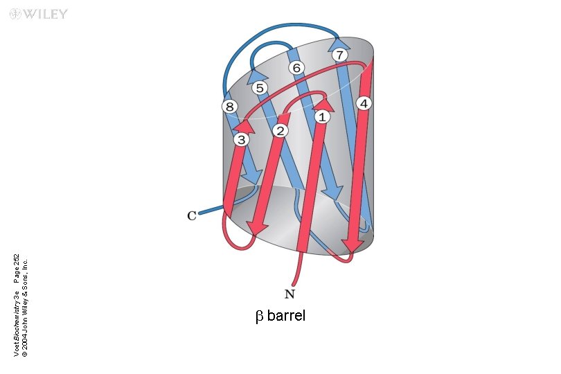 Voet Biochemistry 3 e Page 252 © 2004 John Wiley & Sons, Inc. b