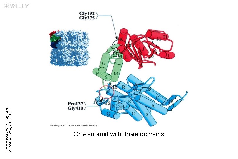 Voet Biochemistry 3 e Page 294 © 2004 John Wiley & Sons, Inc. One