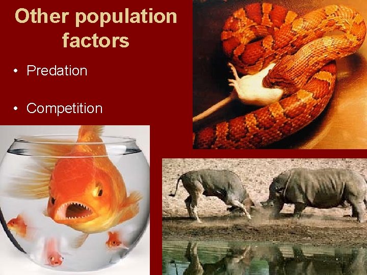 Other population factors • Predation • Competition Other population factors • Predation • Competition
